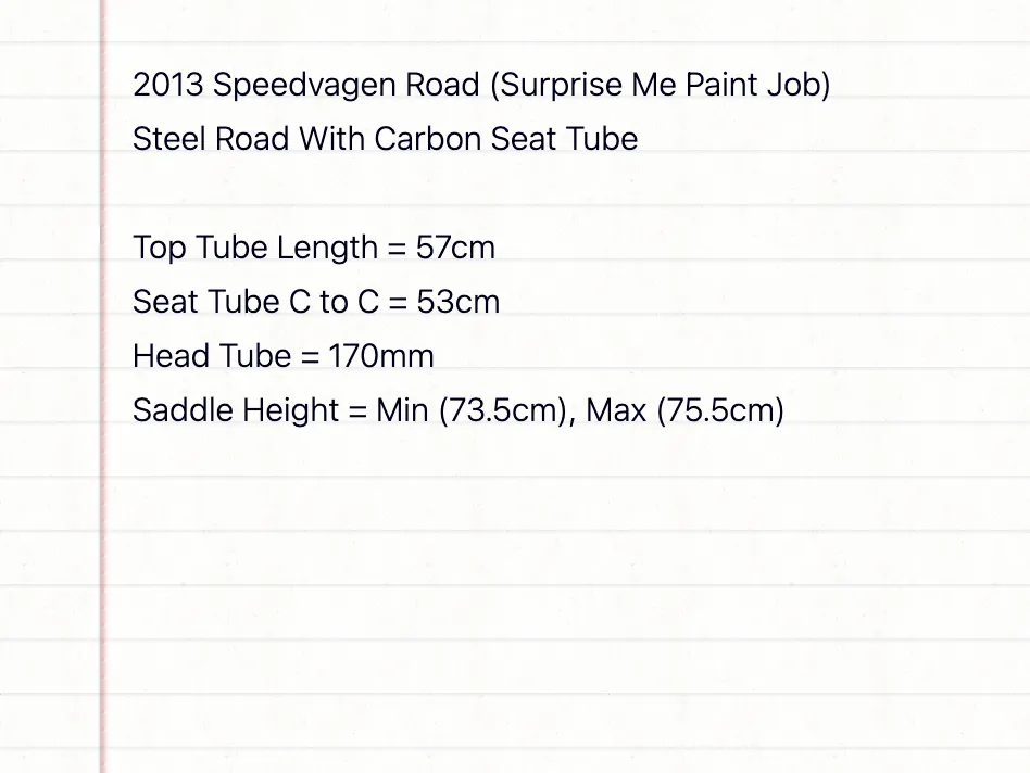 2013 Speedvagen Road "Surprise Me"  Road Bike - 57cm