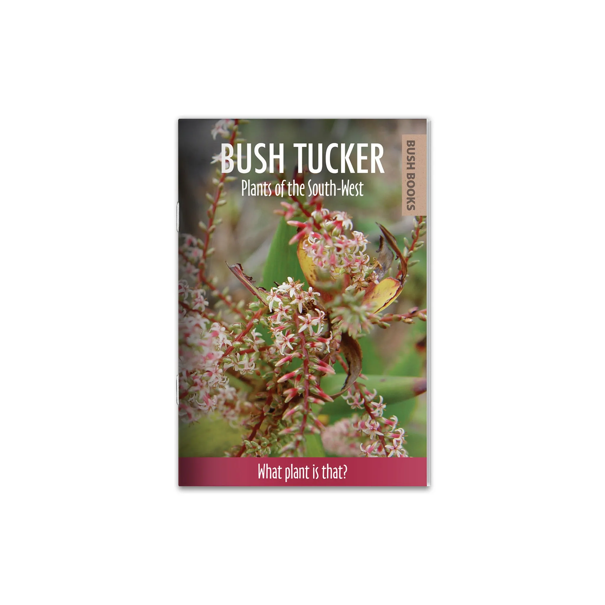 Bush Tucker Plants of the South-West