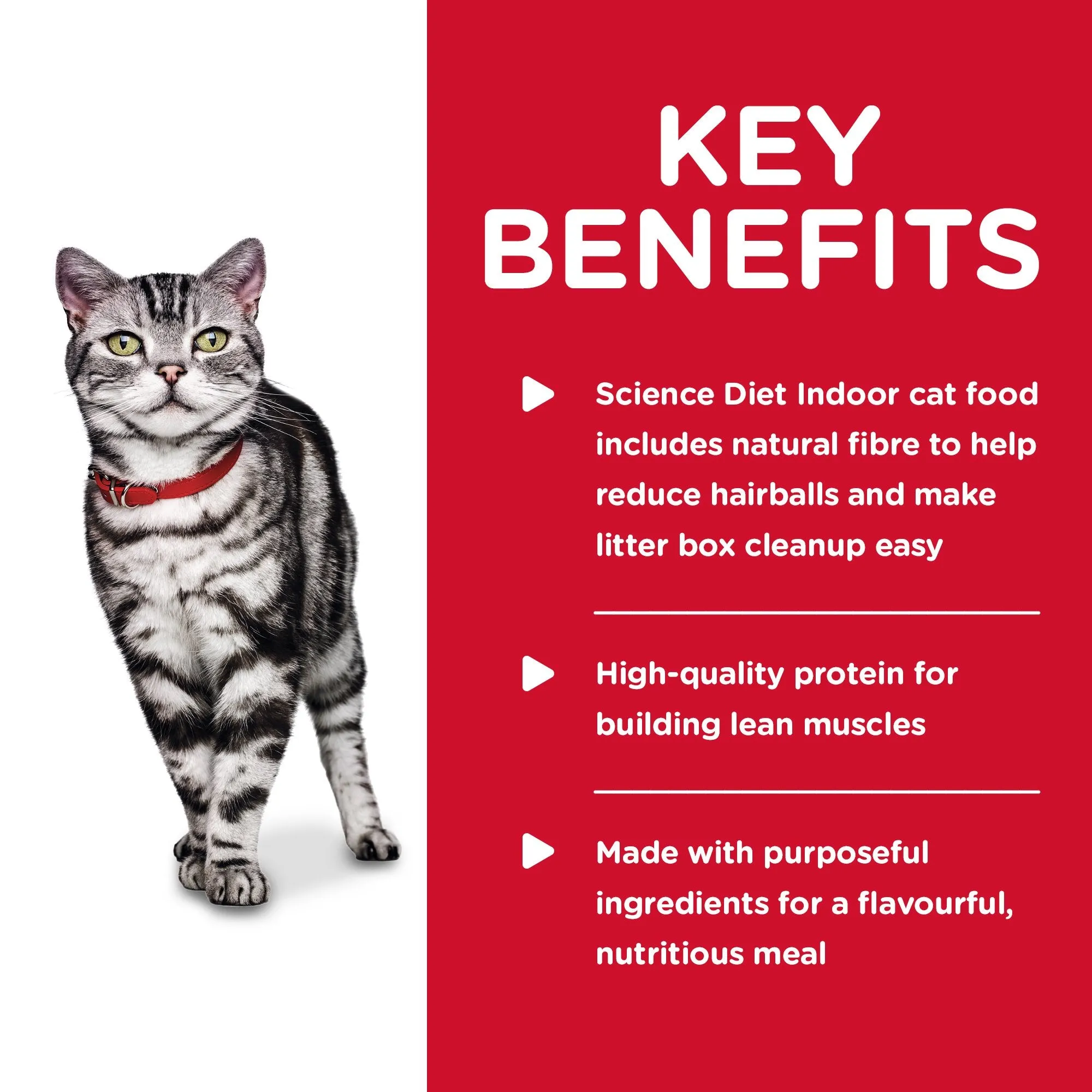 Hills Science Diet Adult Indoor Savoury Chicken Entrée Canned Cat Food 156g x 24***