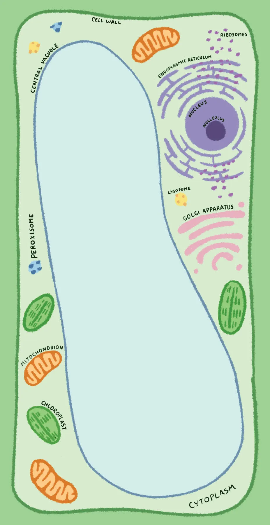 Microbiology Notepad