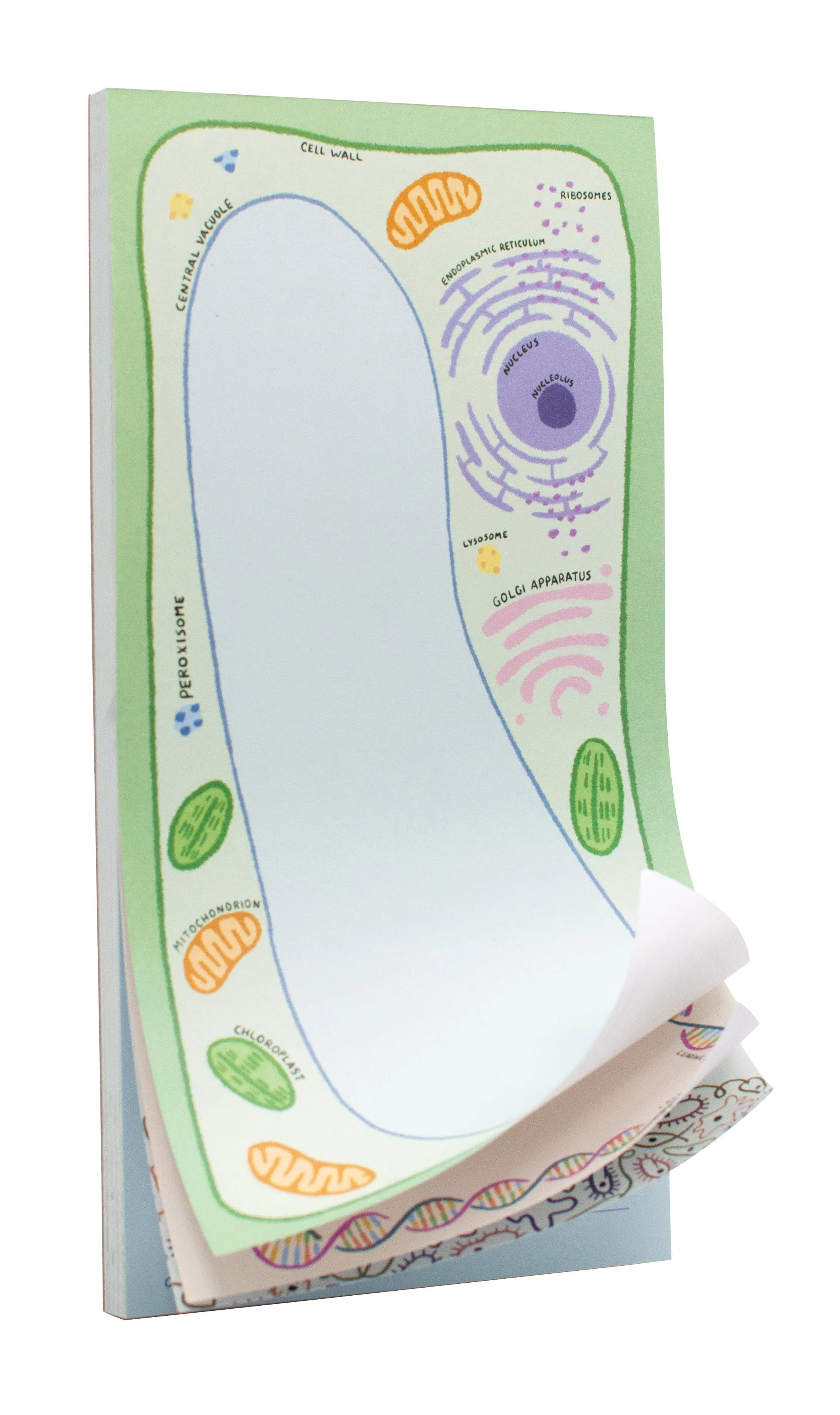 Microbiology Notepad