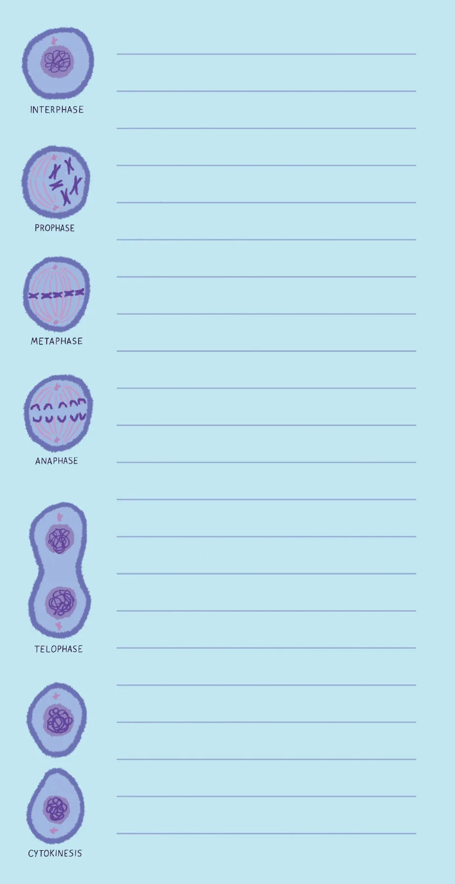 Microbiology Notepad