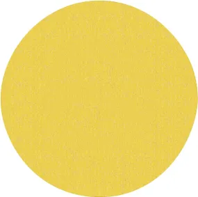 Norton 02463 Sanding Disc, 9 in Dia, Coated, P150 Grit, Fine, Aluminum Oxide Abrasive :EA: QUANTITY: 1