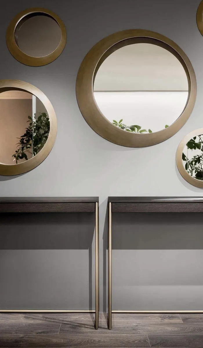 Oculus Mirror