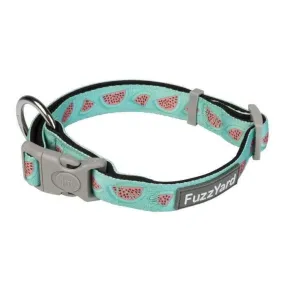 The Dog Collar By FuzzYard - Summer Punch