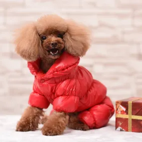 Warm & Shiny Jacket for Dogs